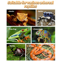 Vassoio magnetico per rettili Garvee con doppio vassoio per lucertole e camaleonti, effetto pietra naturale, compatibile con plastica e vetro