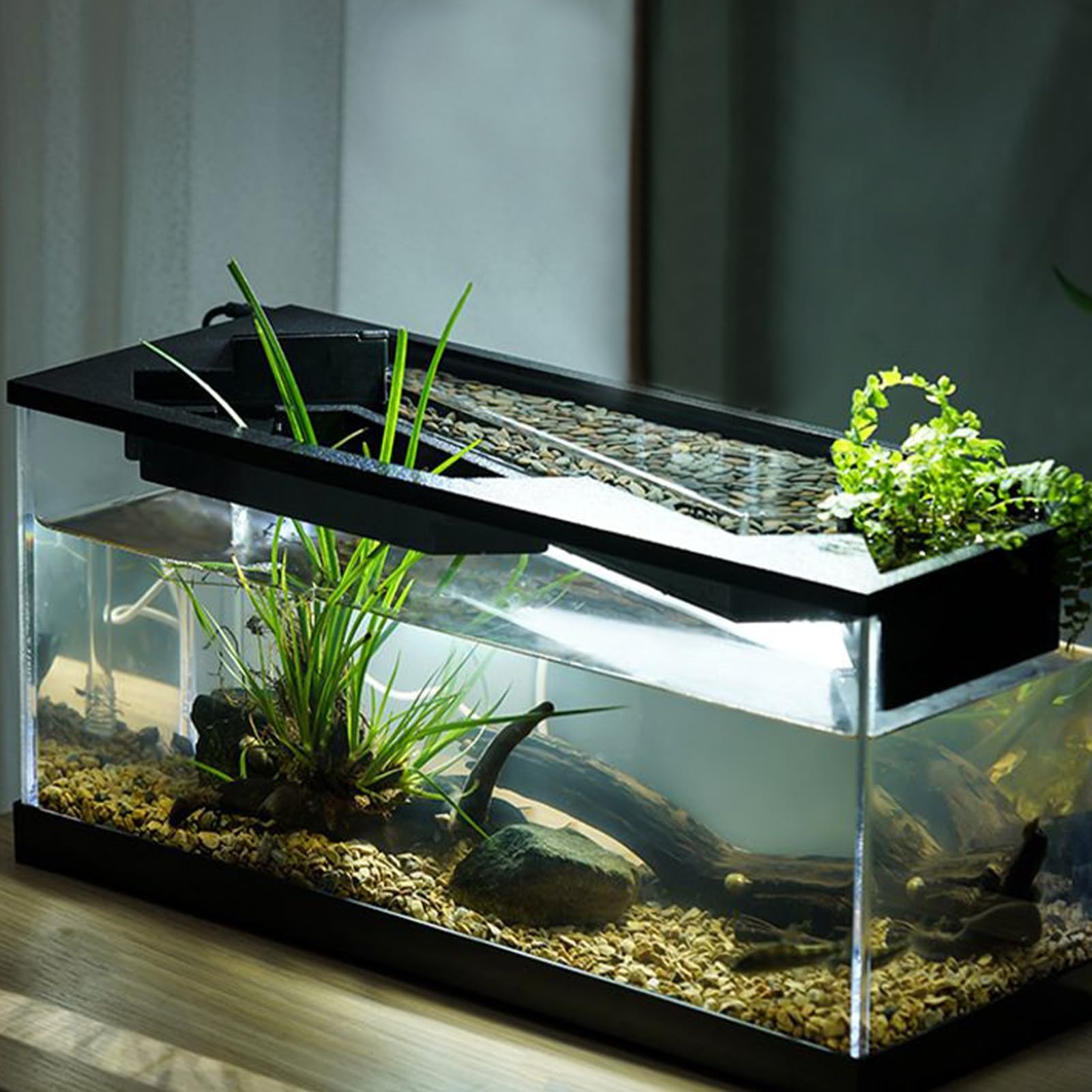 Kit per acquario piccolo Garvee da 3 galloni per pesci Betta con luce LED, generatore di ossigeno, acrilico, filtro silenzioso per ufficio e casa, trasparente