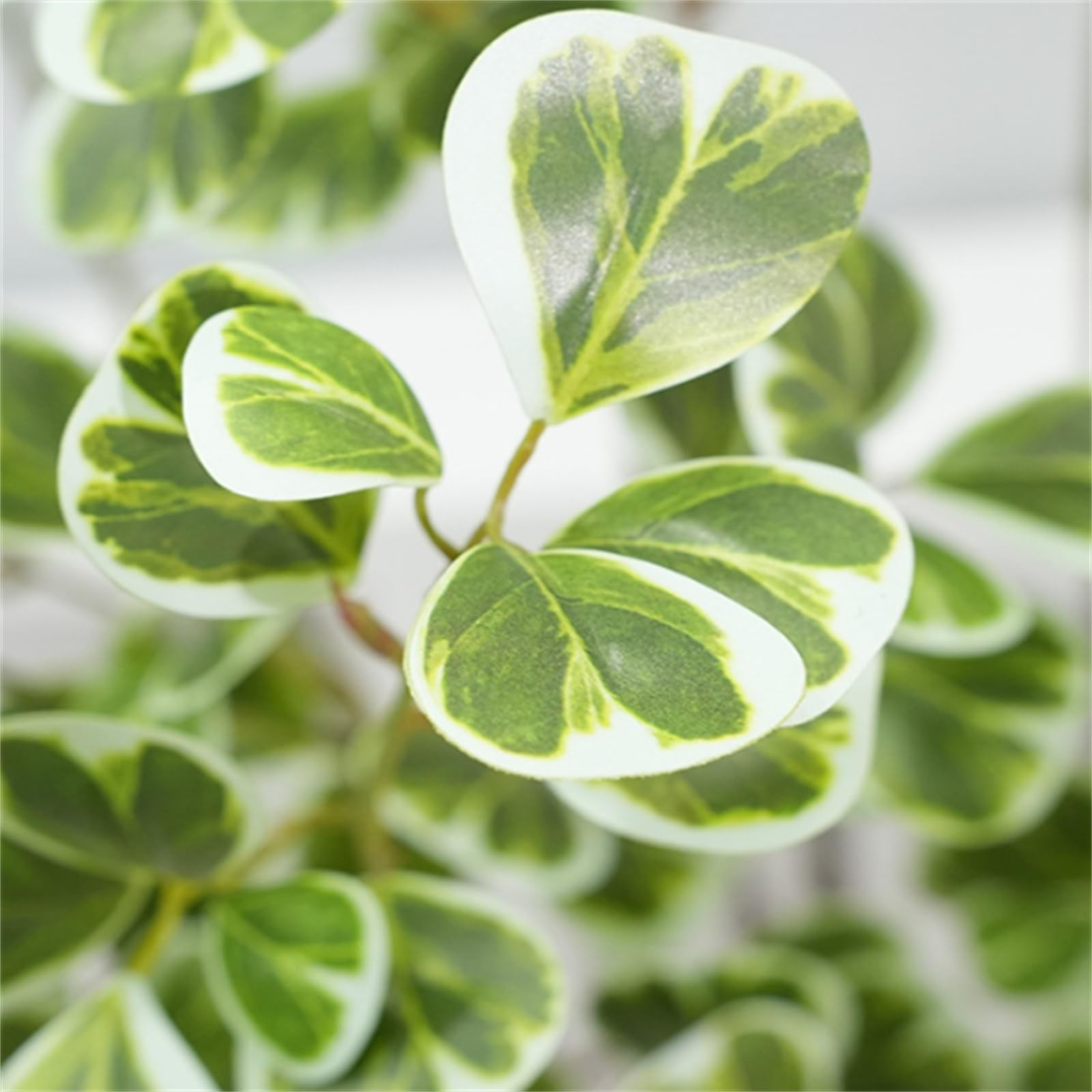 Albero di ficus artificiale Garvee da 5 piedi con rami regolabili e vaso stabile per la decorazione di casa e ufficio, facile da pulire, consistenza realistica, verde
