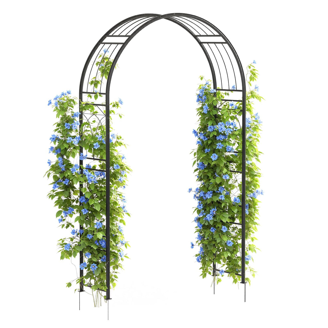 Arco da giardino Garvee da 8 piedi in acciaio, verniciato a polvere, resistente a tutte le intemperie, con picchetti per giardino e matrimoni, larghezza 150 cm, altezza 240 cm, nero
