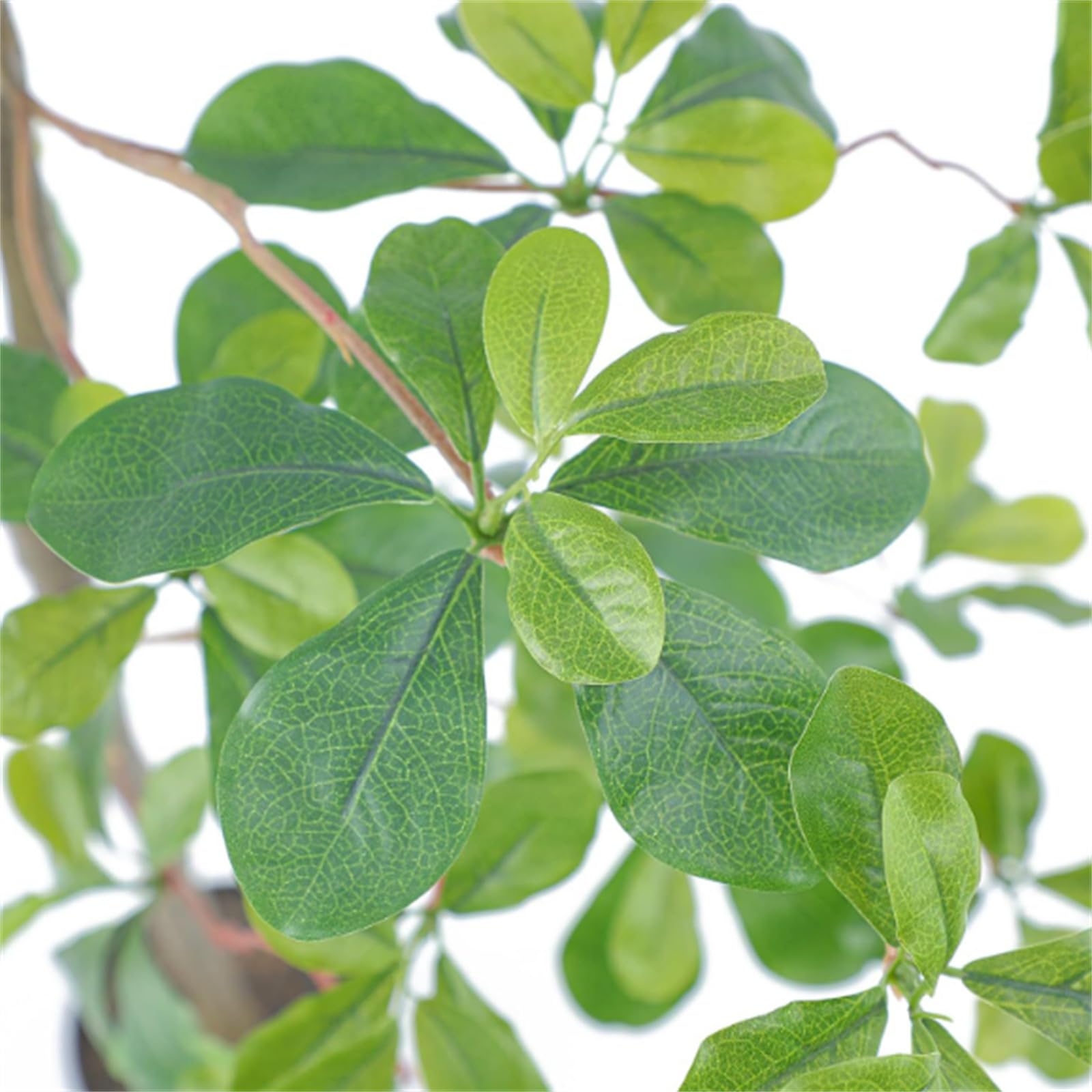 Albero di Schefflera artificiale Garvee da 210 cm con tronco naturale, foglie realistiche, facile da curare, vaso di plastica nero per ufficio e casa