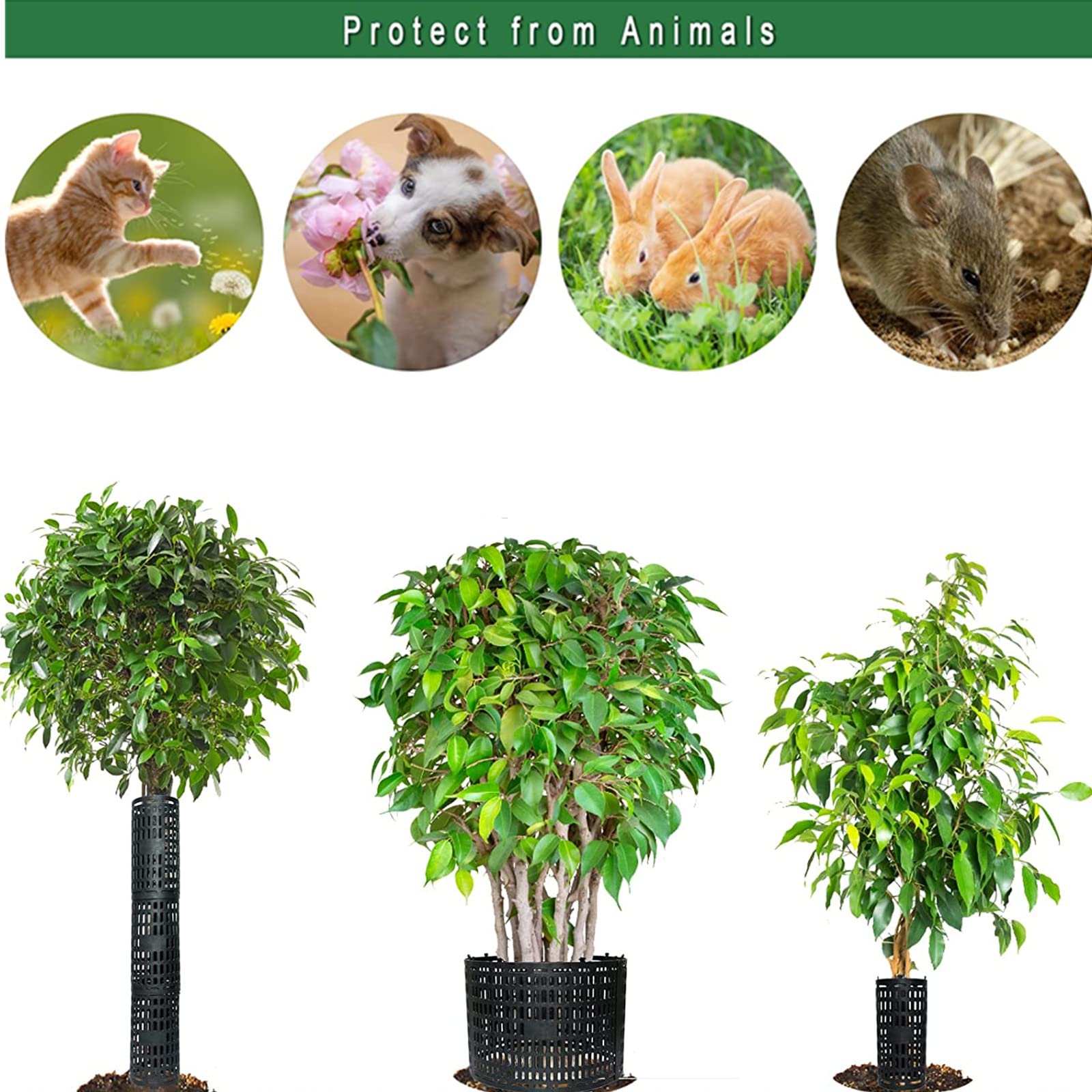 Garvee Set da 10 pezzi di protezioni espandibili per tronchi d'albero, resistenti agli animali che brucano, resistenti ai raggi UV, nere, 25x37cm