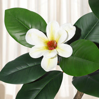 Albero di gomma artificiale Garvee da 2,1 m con 8 fiori di magnolia, fioriera bianca, arredamento per interni, ufficio e casa, resistente, design realistico