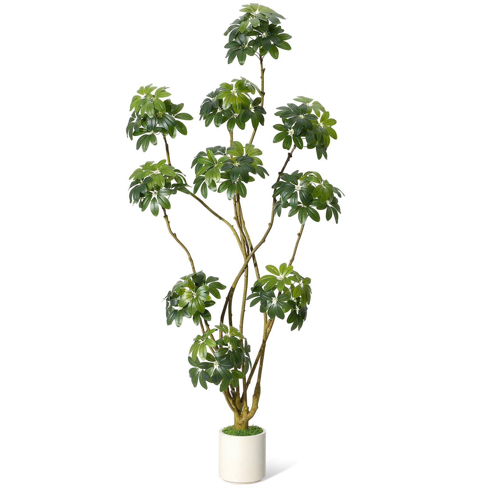 Garvee, albero artificiale da interni alto 7 piedi, ombrellone multi-stelo Schefflera bianco, fioriera in PE, stabile e facile da curare, per casa e ufficio