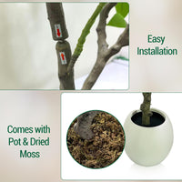 Albero di gelsomino artificiale Garvee grande con vaso bianco per soggiorno, camera da letto, ufficio, giardino, fiori rosa, resistente alle intemperie