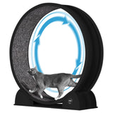 Garvee XL Ruota per Gatti 103 cm per Gatti Grandi, Passi Contati, Silenziosa, ABS, Tavola da Graffio, Tappeto Rimovibile, Salute e Gioco