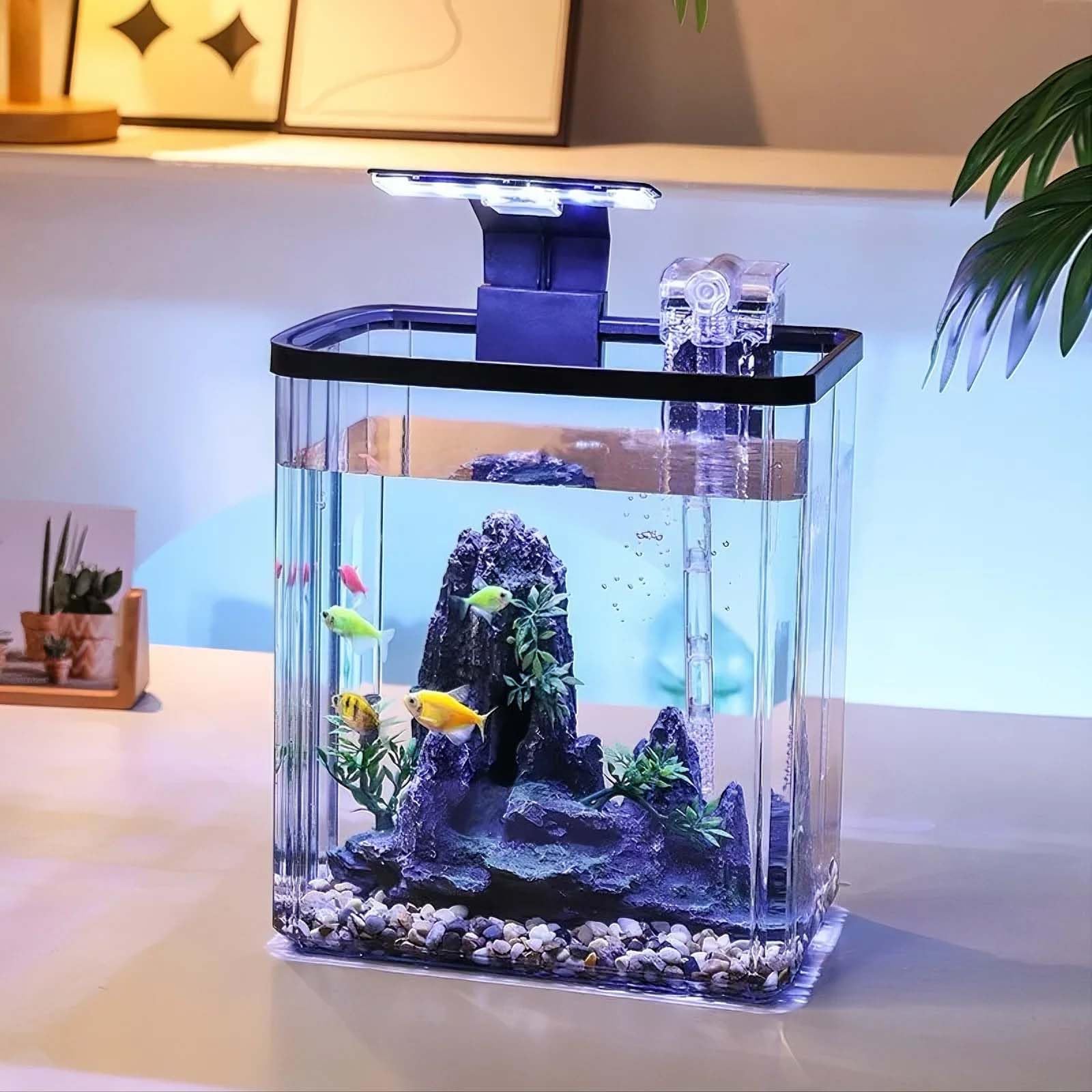 Kit per acquario piccolo Garvee da 2,6 galloni per pesci Betta con luce LED, generatore di ossigeno, acrilico, filtro silenzioso per ufficio e casa, trasparente