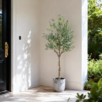 Albero di ulivo artificiale Garvee alto 180 cm, vaso bianco, realistico, resistente ai raggi UV, decorazione per interni, soggiorno, ufficio, giardino