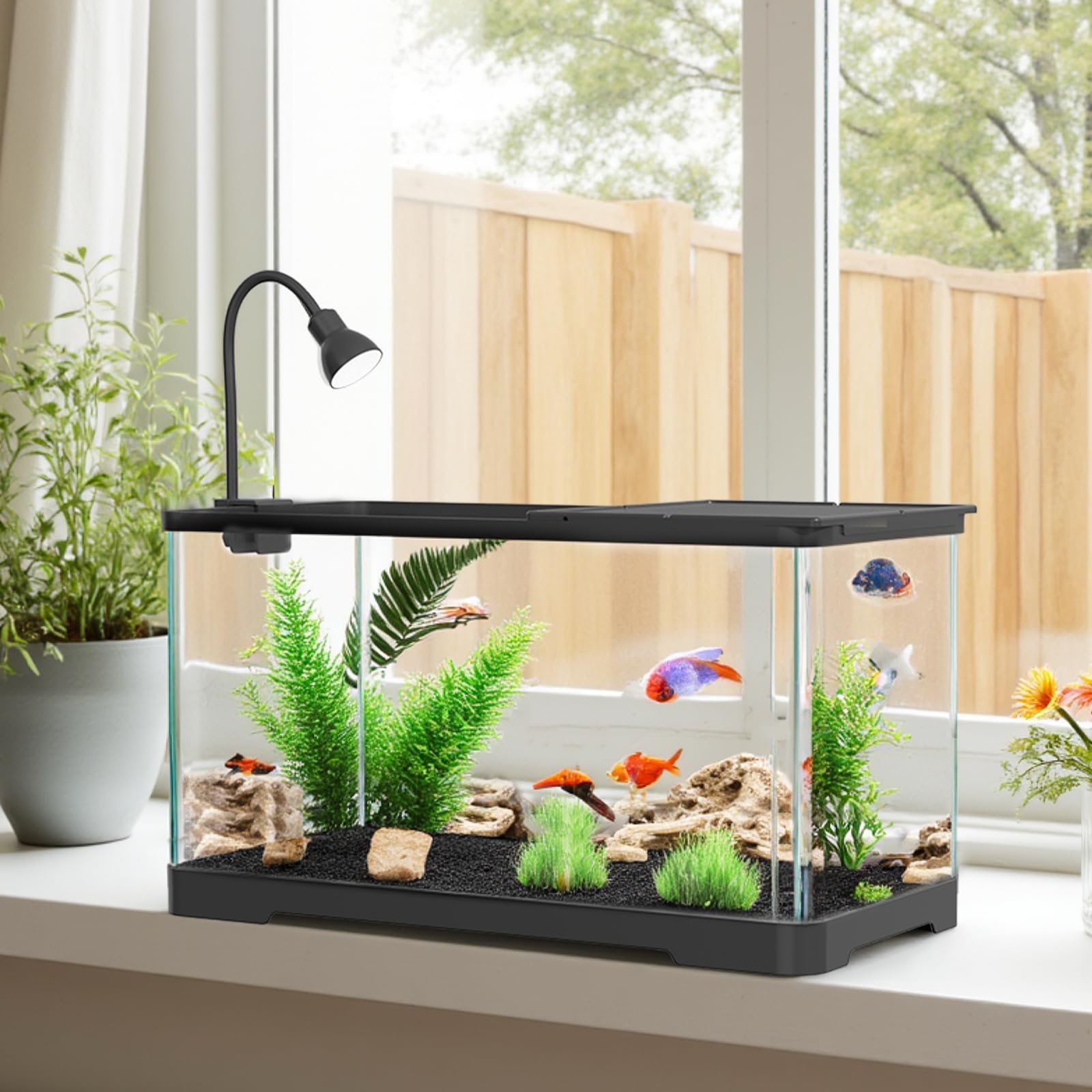 Garvee Acquario piccolo da 5 galloni per pesci rossi trasparente con copertura per casa e ufficio, acrilico altamente trasparente, pompa USB