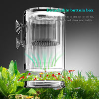 Garvee Aquarium Fish Breeding Box, scatola di covata in acrilico con ventose per pesciolini, gamberetti, pesci pagliaccio e guppy