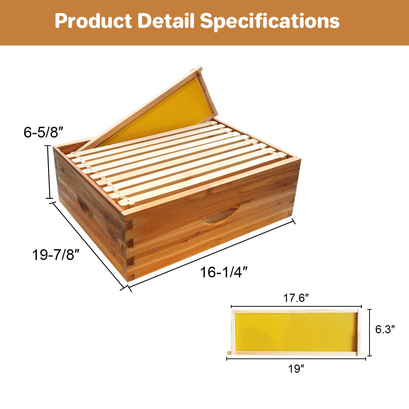 Arnia Garvee Langstroth a 10 telaini in legno di cedro - Casetta per api con cera d'api al 100% - Melario medio per apicoltura - 41 x 50 x 17 cm - Attrezzatura professionale
