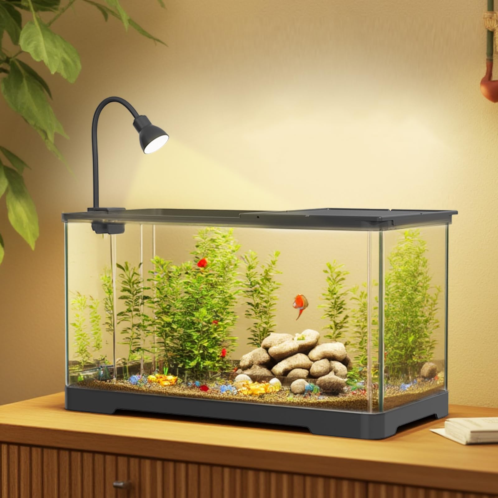 Garvee Acquario piccolo da 5 galloni per pesci rossi trasparente con copertura per casa e ufficio, acrilico altamente trasparente, pompa USB