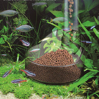 Set di ciotole per pesci e gamberetti Garvee, in cristallo, grande capacità, accessori per acquario, multiuso, trasparente
