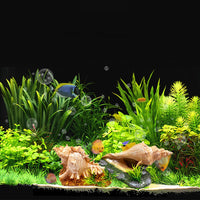 Garvee Decorazione a forma di conchiglia per acquario bianca rotonda – Decorazione realistica in resina per acquario e terrario – Rifugio sicuro per pesci, gamberetti e paguri