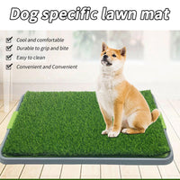 Tappetino per erba artificiale Garvee Dog Grass Pad con vassoio, riutilizzabile e lavabile per balcone e uso interno, 68x42,5 cm, verde