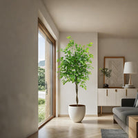 Albero artificiale da interno Garvee con foglie di gomma, tronco naturale, fioriera stabile per casa e ufficio, moderno, facile da curare
