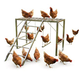 Perrocchetto per Polli Garvee con Dondolo e Scala in Acciaio al Carbonio Resistente Impermeabile per Fattorie e Cortili 100x100x70 cm