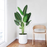 Albero artificiale di uccello del paradiso Garvee da 60 pollici con 10 tronchi regolabili, vaso di cemento resistente per decorazione interna e stelle, realistico, verde