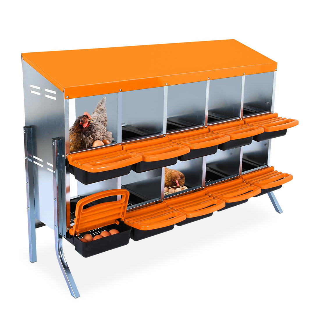 Nido per polli Garvee a 2 livelli in metallo con 10 scomparti, tetto impermeabile, base antiscivolo per pollaio, arrotolabile, resistente