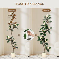 Albero di gomma artificiale Garvee da 6 piedi con fiori di magnolia, fioriera bianca, decorazione per interni, ufficio e soggiorno