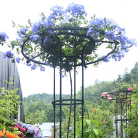 Supporto per piante Garvee, scala da giardino con anello di supporto, metallo resistente alle intemperie, per giardino e terrazza, versatile supporto per piante, ortensie e rose.