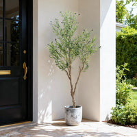 Albero di ulivo artificiale Garvee da 210 cm, vaso bianco, decorazione per interni, soggiorno, ufficio e giardino