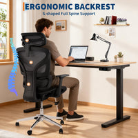 Sedia da ufficio ergonomica Garvee con schienale alto in rete e braccioli 4D, supporto lombare per ufficio domestico, altezza del sedile regolabile, nera