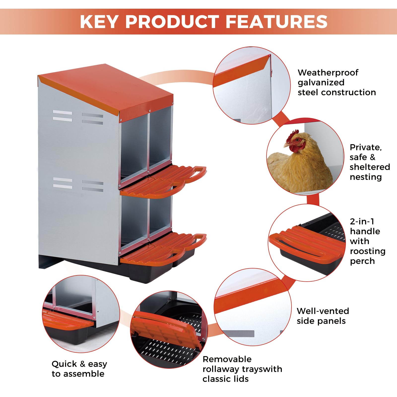 Nido per polli Garvee a 3 fori, in metallo, antiruggine, vassoio rimovibile per pollaio, fattoria, confortevole