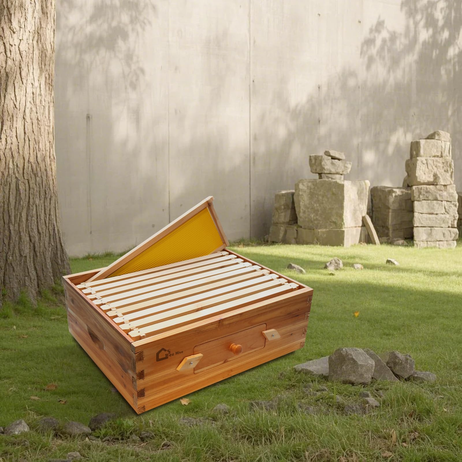 Garvee Langstroth Medium Super Beehive Box da 10 telaini con finestra in acrilico, legno di cedro, 16-1/4"x19-7/8"x6-5/8" naturale