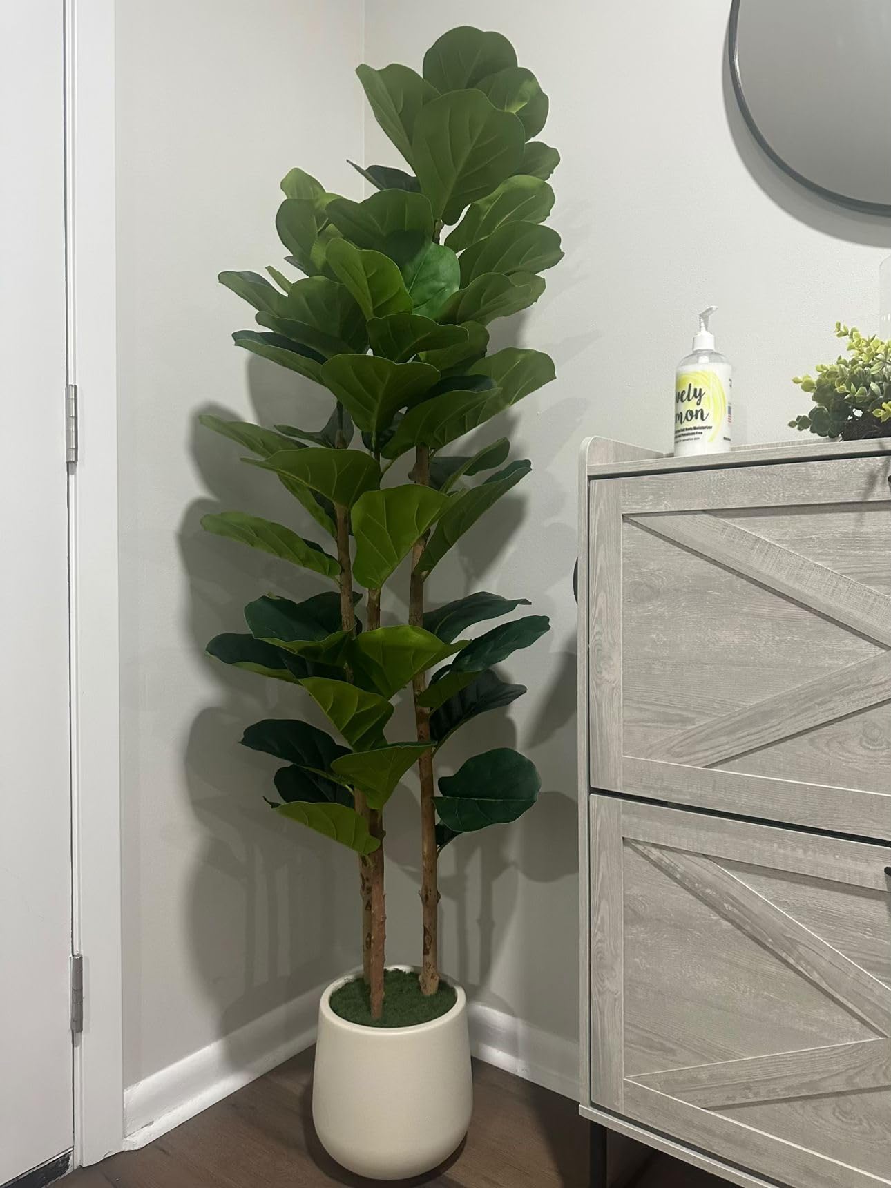 Albero di fico artificiale Garvee da 5 piedi con 56 foglie, vaso in cemento bianco, rami regolabili per decorazioni interne ed esterne, poliestere resistente, verde