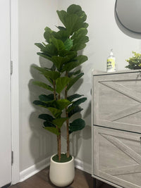 Albero di fico artificiale Garvee da 5 piedi con 56 foglie, vaso in cemento bianco, rami regolabili per decorazioni interne ed esterne, poliestere resistente, verde