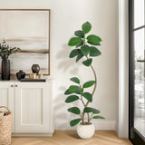 Albero di gomma artificiale Garvee da 5 piedi con vaso in resina bianca, resistente ai raggi UV, adatto a soggetti allergici, decorazione per interni e ufficio, marrone-bianco, realistico - Pietra per fiori in vaso beige Mine
