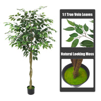 Albero di ficus artificiale Garvee da 5 piedi con tronco e foglie realistici, base in cemento, di facile coltivazione, per decorazione interna e stelle, verde