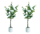 Garvee 2er-Pack Alberi Artificiali con Fiori di Rosa 1,20 m di Altezza Realistici Facili da Curare Plastica & Seta Artificiale per Soggiorno & Ufficio Verde