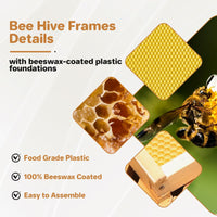 Garvee Beehive Starter Set Langstroth 10-Frame Cedar Wood Bees wax Beekeeping Beginner Set Accessori completi per arnie