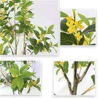 Albero di osmanto artificiale Garvee da 1,4 m con foglie e fiori realistici, rami regolabili, materiale PU, non richiede manutenzione, per uso interno ed esterno, verde