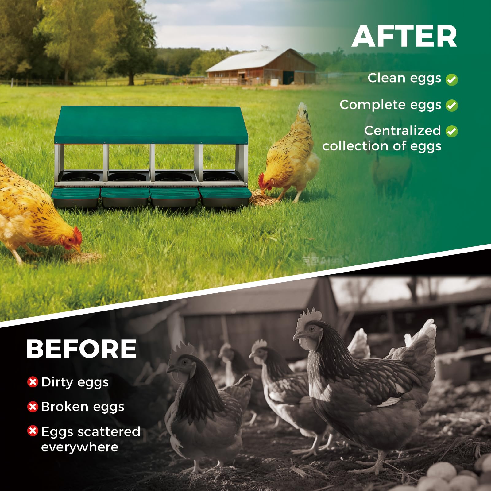 Nido per polli Garvee con 4 scomparti, acciaio zincato, verde, per pollaio, deposizione delle uova
