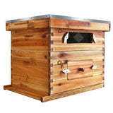 Garvee Kit Completo Alveare 10 Telai Langstroth Con Finestra Acrilica, Legno Cedro, Verniciatura Naturale, Apicoltura Domestica, Facile Montaggio, 100% Cera d'Api