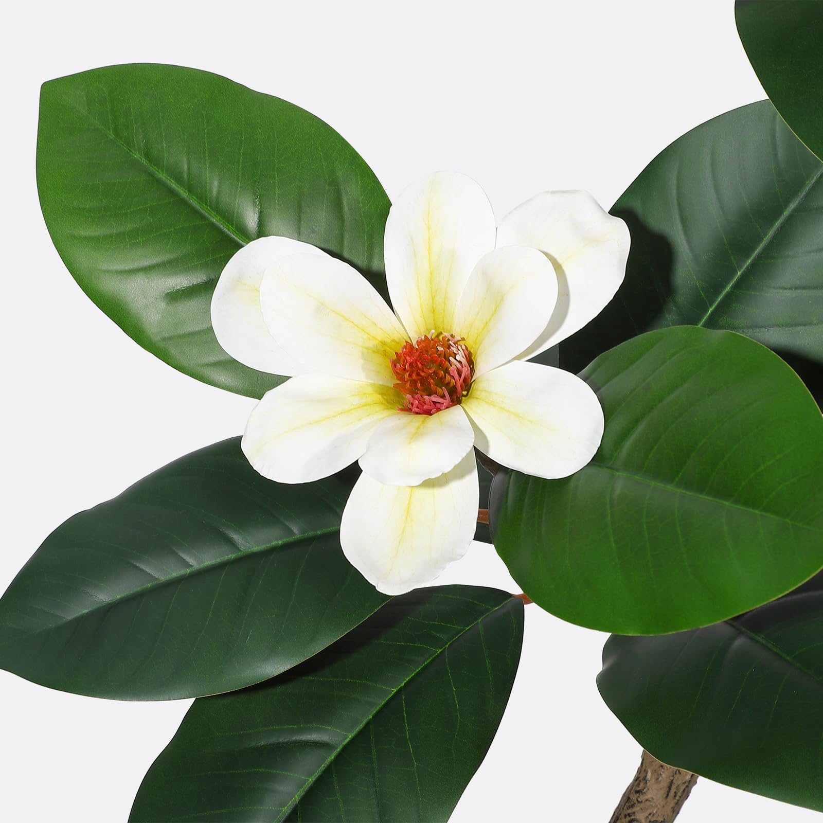 Albero di gomma artificiale Garvee da 5 piedi con fiori di magnolia, vaso bianco per ufficio e casa, stabile e durevole