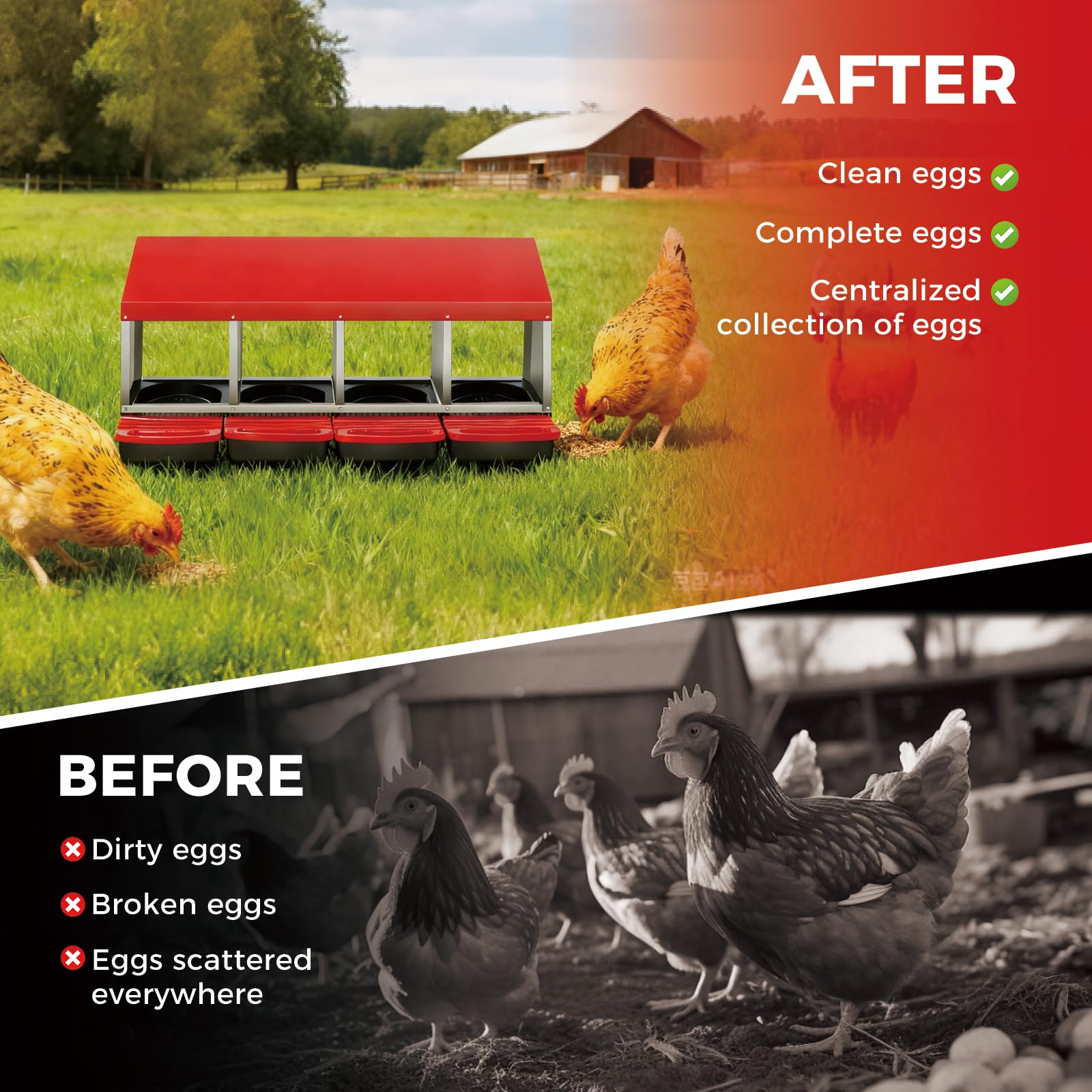 Nido per galline Garvee a 3 fori, in metallo, antiruggine, vassoio rimovibile per cortile e fattoria, 4 scomparti, zincato