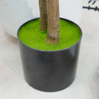 Albero di gelsomino artificiale Garvee da 5 piedi con design piangente, vero tocco, bianco seta con vaso per soggiorno, ufficio