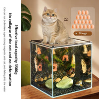 GARVEE 30 x 20 cm Copertura per acquario Rete anti-molla Accessorio per rete di ricambio per acquario Protezione trasparente per pesci