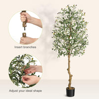 Albero di ulivo artificiale Garvee da 6 piedi con foglie di silicato e vaso di cemento stabile per soggiorno e ufficio, realistico, verde