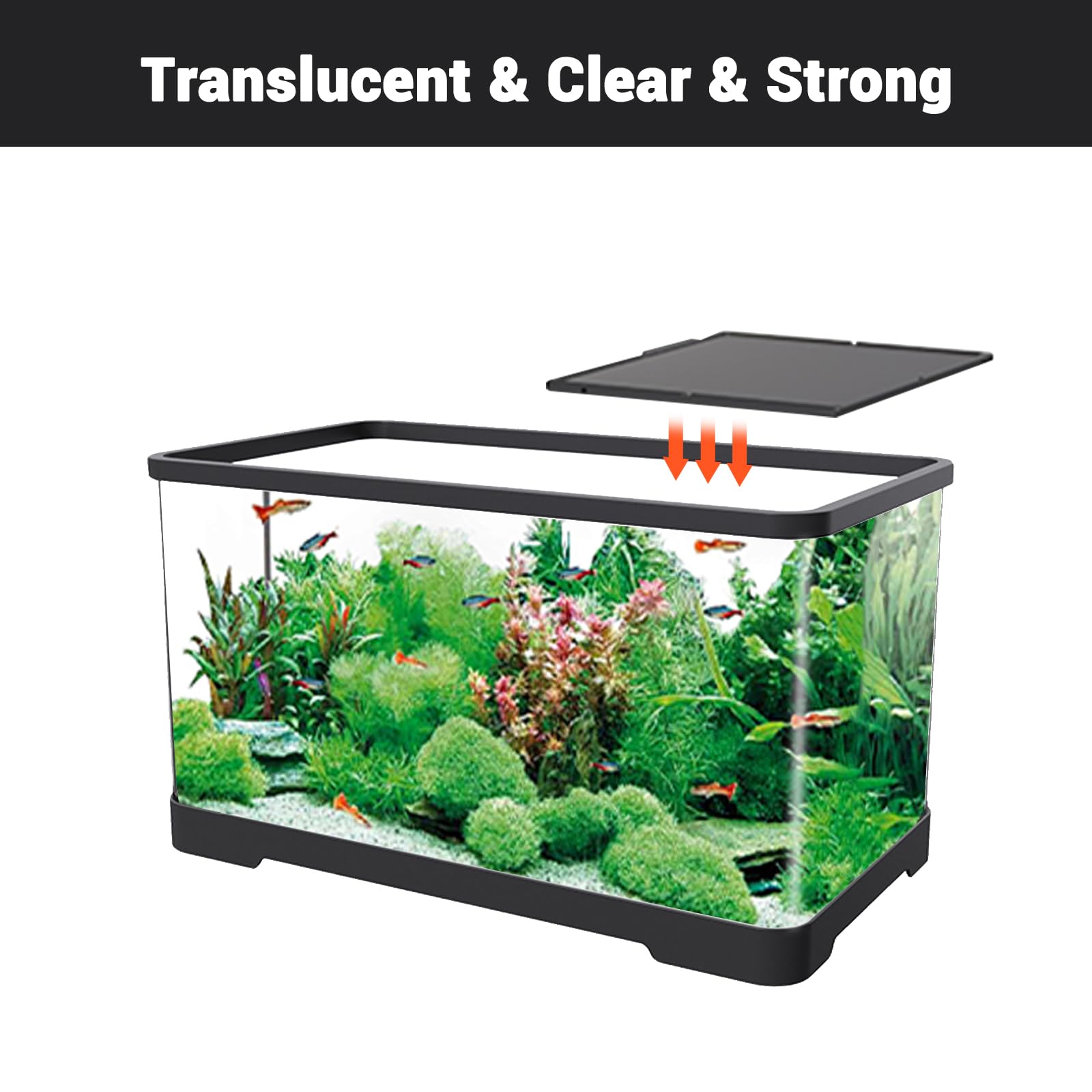 Garvee Acquario piccolo da 5 galloni per pesci rossi trasparente con copertura per casa e ufficio, acrilico altamente trasparente, pompa USB