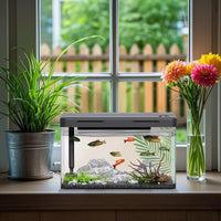 Kit di avviamento per acquario Garvee con filtro e apporto di ossigeno, pompa ultra silenziosa, acrilico, illuminazione a LED, mini rettangolare, decorazione da tavolo
