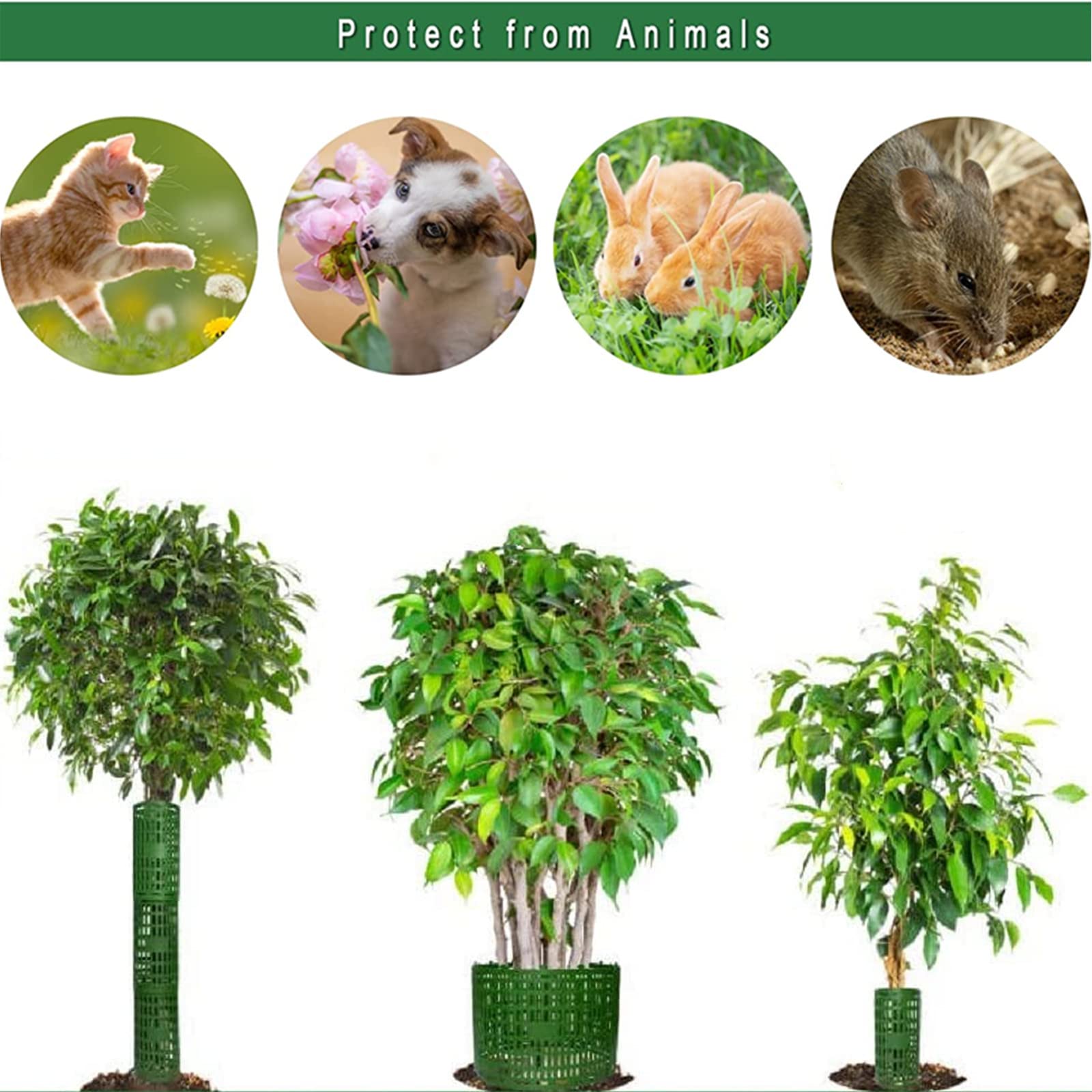 Garvee Set da 10 pezzi di protezioni per tronchi d'albero verdi, espandibili e resistenti ai raggi UV, 25x37 cm, protezione contro gli animali che brucano