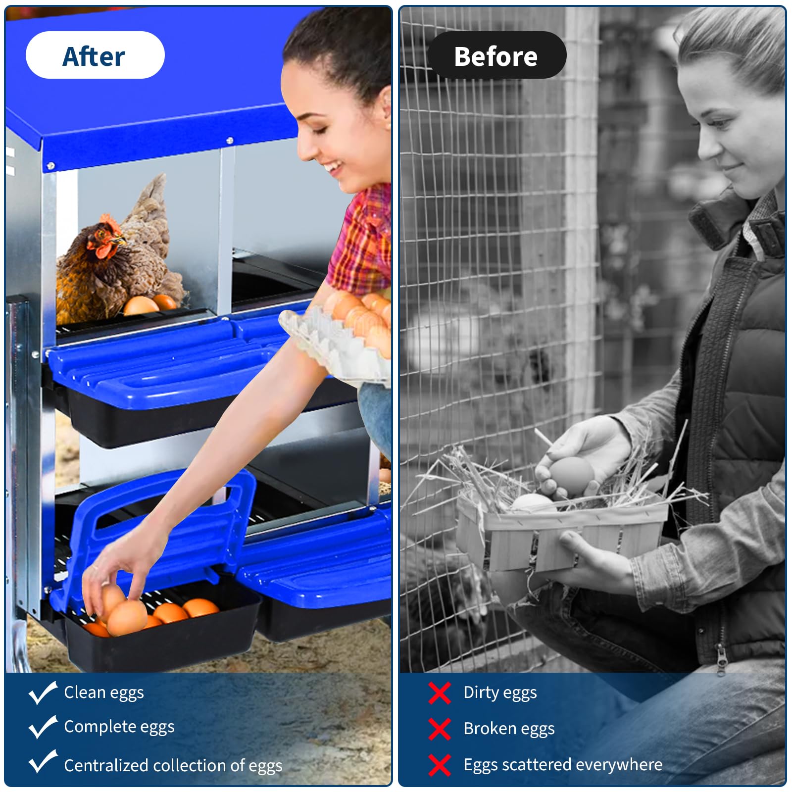 Nido per polli Garvee a 2 livelli - Con 10 scomparti, metallo, tetto impermeabile, base antiscivolo, arrotolabile per pollaio