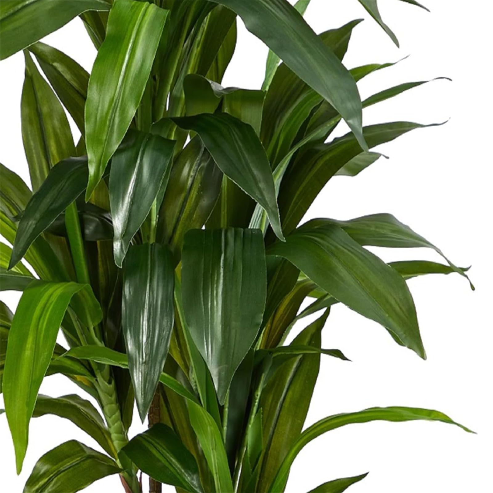 Albero di dracena artificiale Garvee da 4 piedi/5 piedi con vaso per soggiorno e ufficio, rami e foglie resistenti, tessuto di seta, facile da pulire, verde