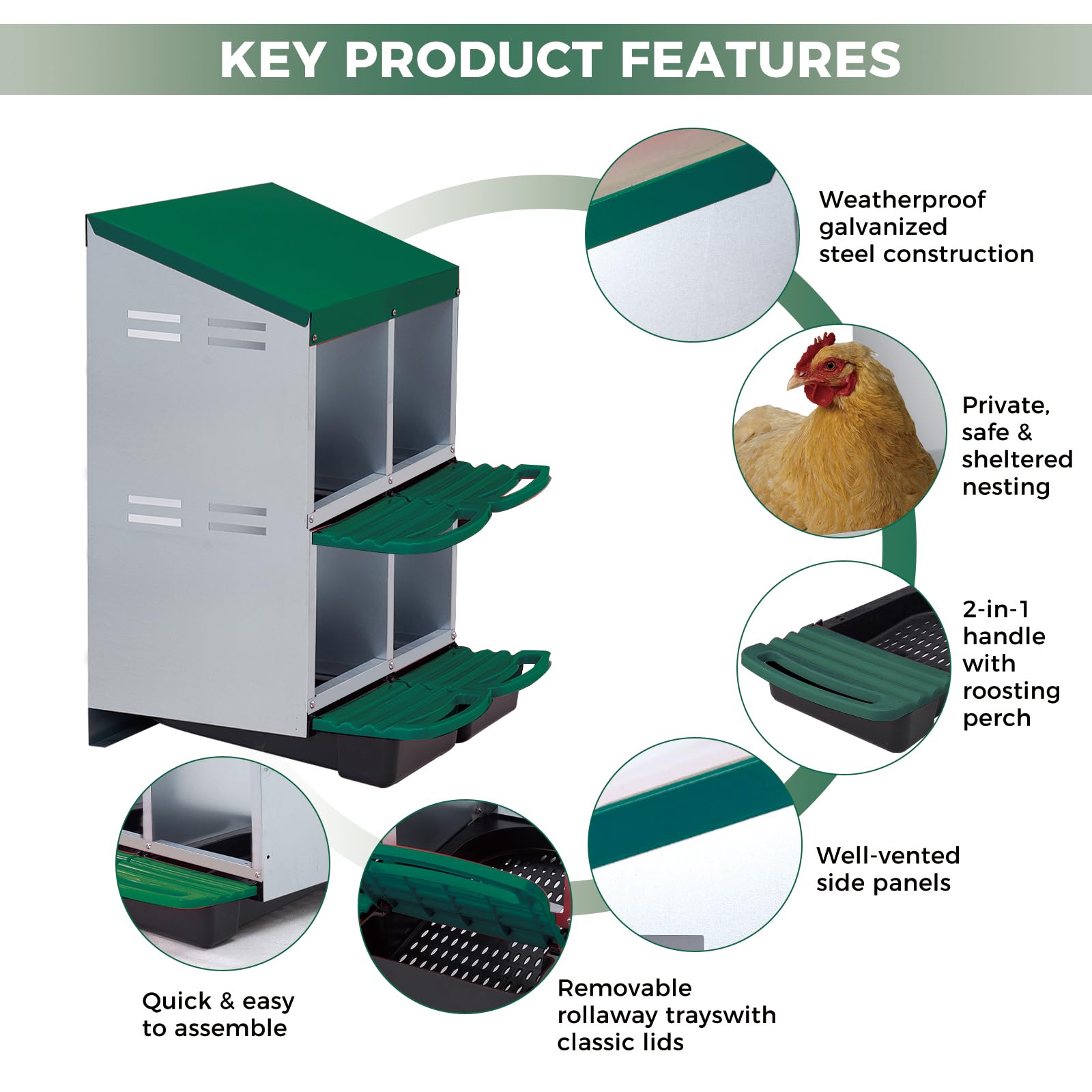 Nido per polli Garvee con 4 scomparti, acciaio zincato, trespolo antiscivolo, resistente alle intemperie, verde, per pollai