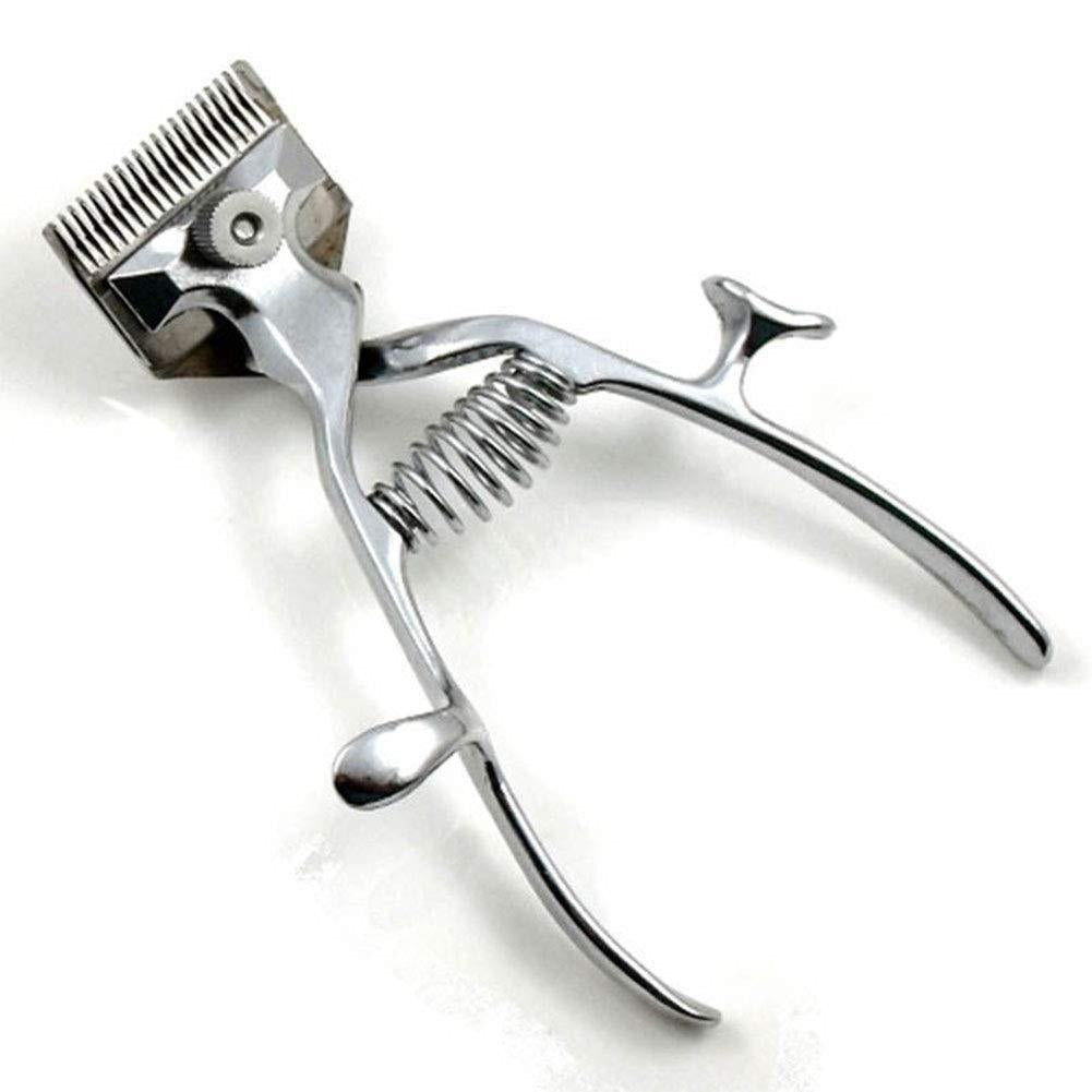 Tosatrice per cani e gatti Garvee - Tosatrice per cani e gatti - Silenziosa e precisa - In acciaio inox e delicata sulla pelle - Ricaricabile e senza fili - Per la casa e i viaggi